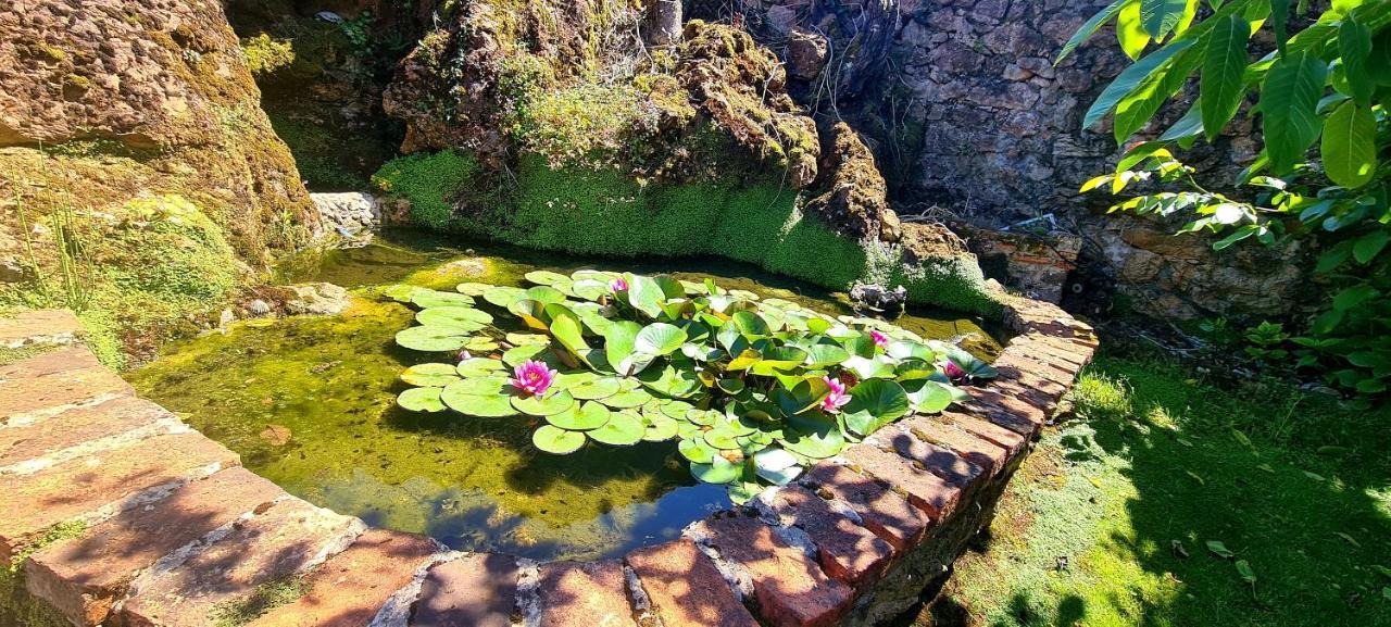 Las Parientucas ノバレス エクステリア 写真